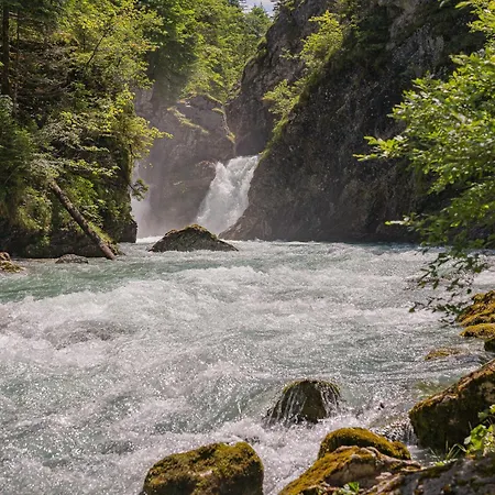 Gamsblick Apartmán *
