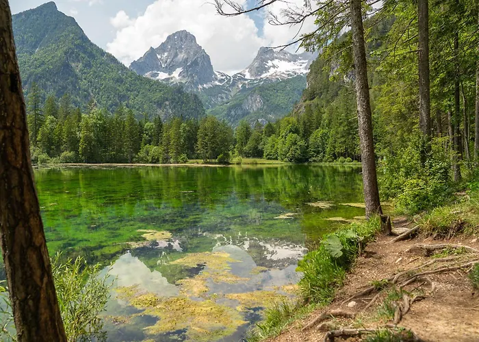 Apartmán Gamsblick *